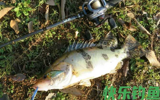 路亚野钓有多难钓?(图2) 路亚野钓有多难钓?(图2)