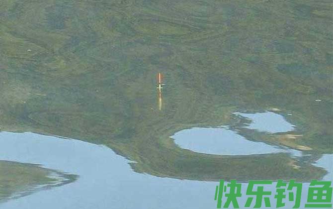 台钓调漂技巧及注意事项(图5)