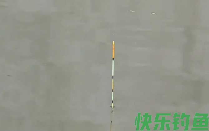 夏季钓鱼如何调漂？(图3)