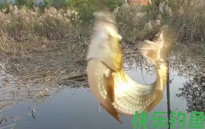 早春钓鱼什么风向好？(图2)