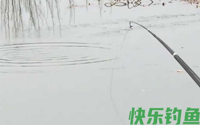三月钓鱼钓深还是钓浅？(图4)