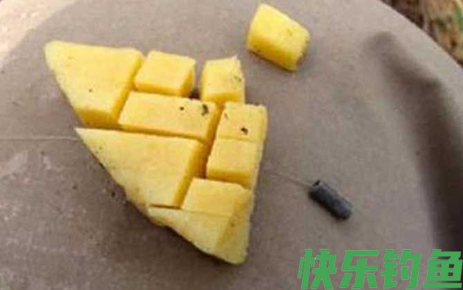 什么季节用红薯钓鱼效果好？(图3)