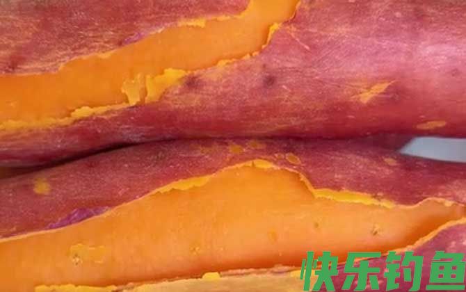 什么季节用红薯钓鱼效果好？(图2)