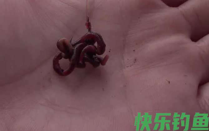 蚯蚓钓鱼浮漂调几目钓几目？(图4)