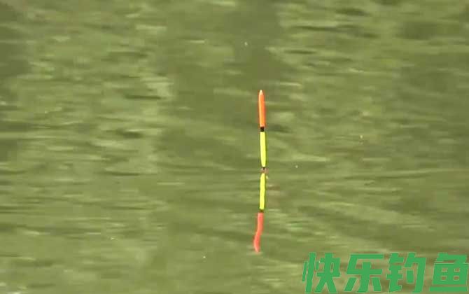 秋季钓鱼调几钓几最合适？(图4)