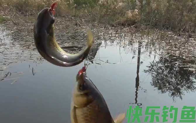 早春钓鱼怎么钓上鱼快？(图4)