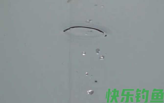 早春钓鱼怎么钓上鱼快？(图3)