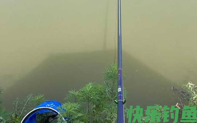 黑坑偷驴钓近还是钓远？(图4)