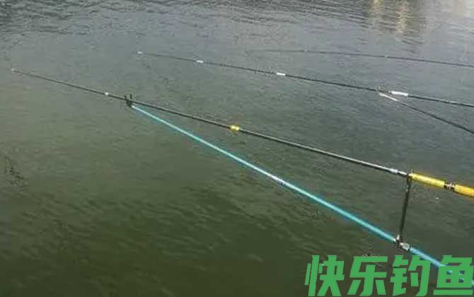 黑坑偷驴钓近还是钓远？(图2)