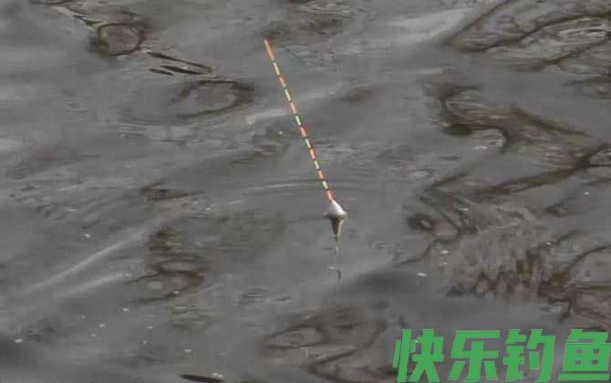 野钓黑漂不中鱼怎么回事？(图1)