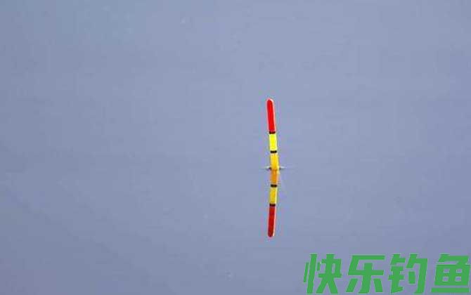 野钓黑漂不中鱼怎么回事？(图4)