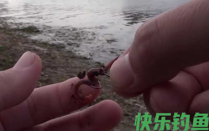 野钓用蚯蚓钓底还是钓浮？(图2)