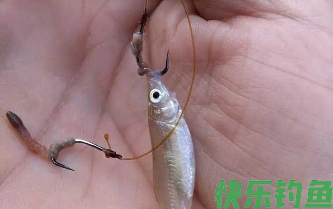 用蚯蚓钓鱼怎样看漂相？(图2)