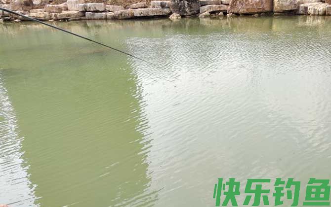 初春钓鲫鱼技巧大全(图3)