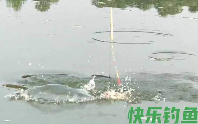 水库钓大鱼最佳深度是多少？(图2)