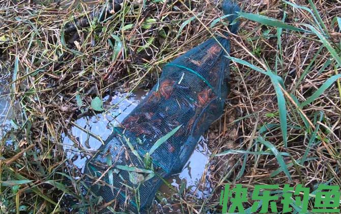 地笼什么时间最容易进鱼？(图1)