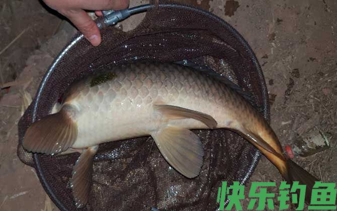 大水库钓鱼一般钓多深？(图2)