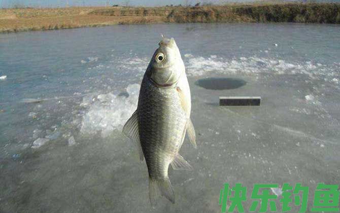 溪流钓有哪些钓法？(图6)