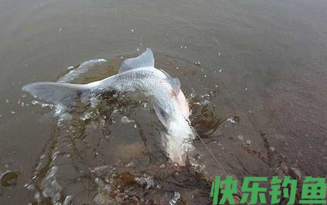 溪流钓有哪些钓法？(图5)