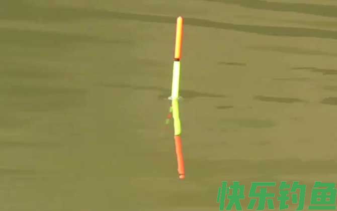 跑铅钓鱼不需要调漂吗？(图2)