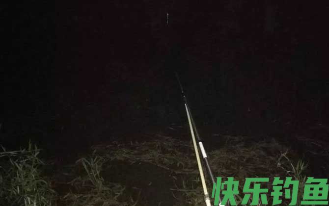 夜钓技巧全攻略及注意事项(图4)