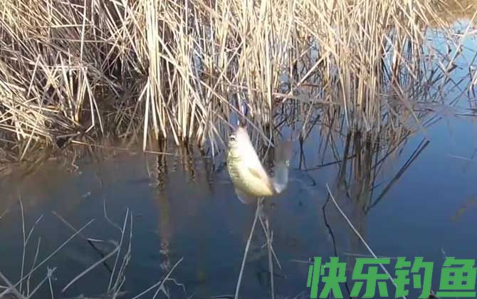 冬季钓鱼钓流水还是静水？(图2)