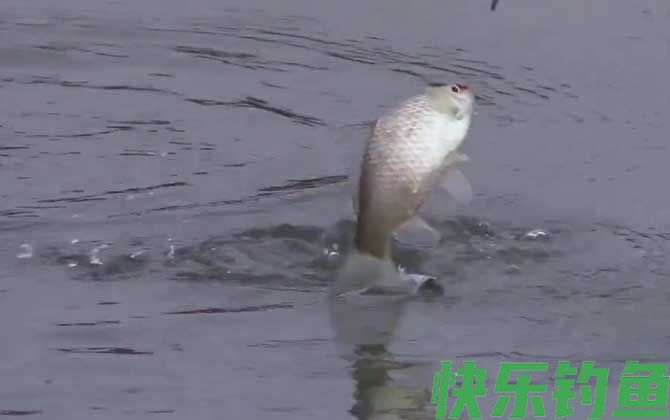 冬季钓鱼钓流水还是静水？(图3)