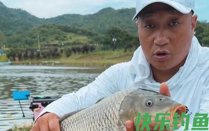 杨春(图3)