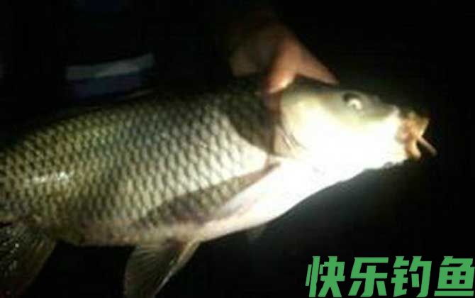 夜钓是什么意思？(图4)