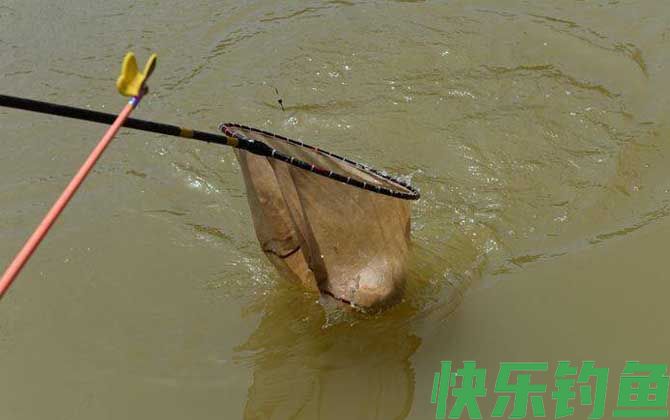 什么叫传统钓什么叫台钓？(图2)