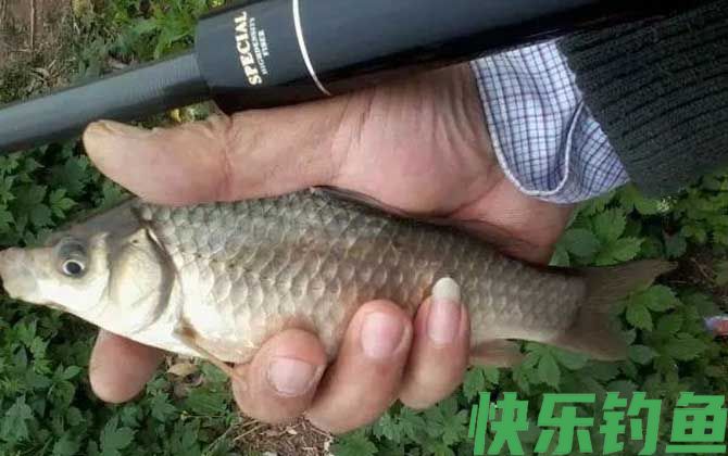 传统钓是什么意思？(图4)