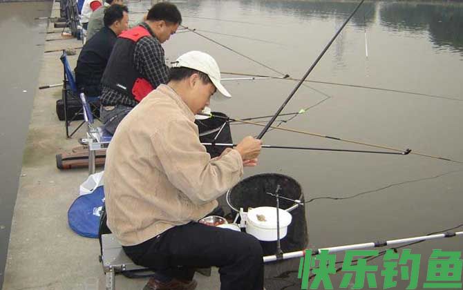 传统钓和台钓哪个好？(图2)