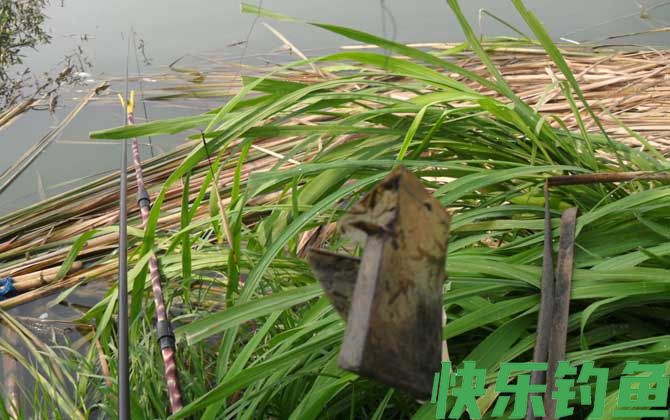传统钓和台钓是什么意思？(图3)