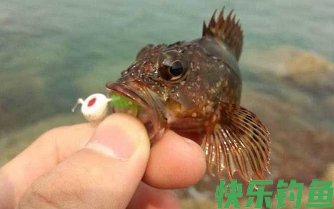 矶钓是什么意思？(图5)