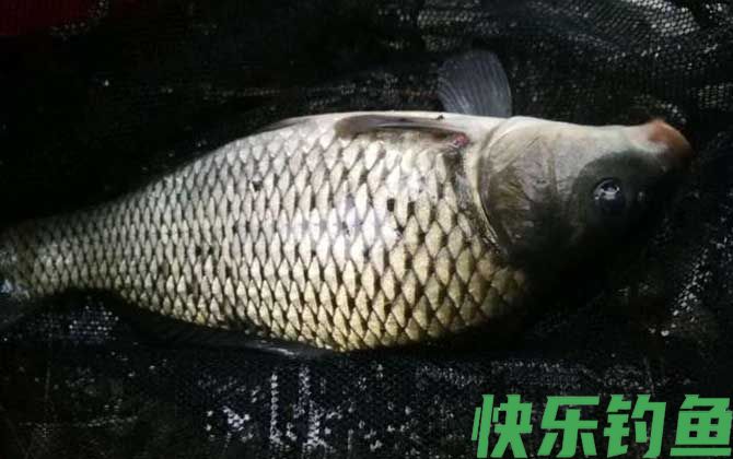 三月四月不钓鱼是怎么回事？(图2)