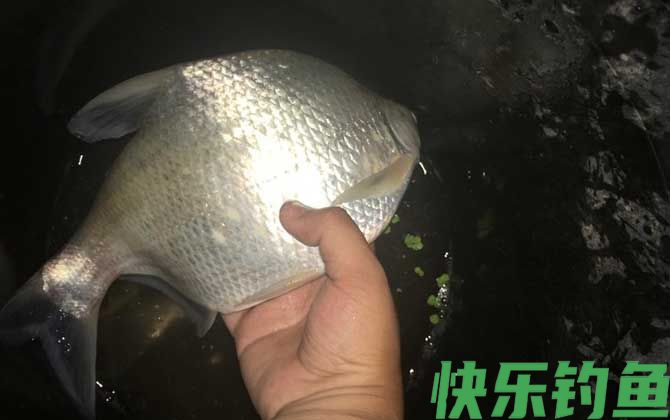 三月四月不钓鱼是怎么回事？(图3)