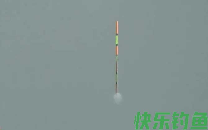 小跑铅钓法是什么意思？(图1)