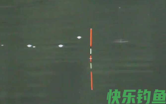 小跑铅钓法是什么意思？(图2)