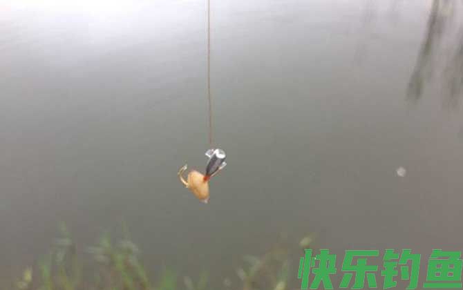 传统钓线组搭配有哪些？(图1)