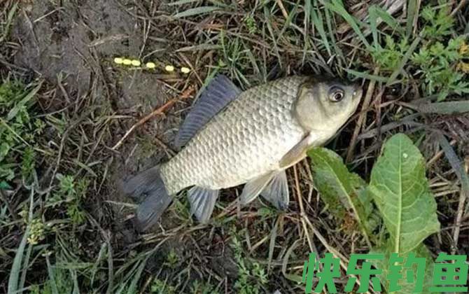 传统钓线组搭配有哪些？(图4)