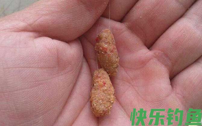 钓鱼需要准备哪些东西？(图4)