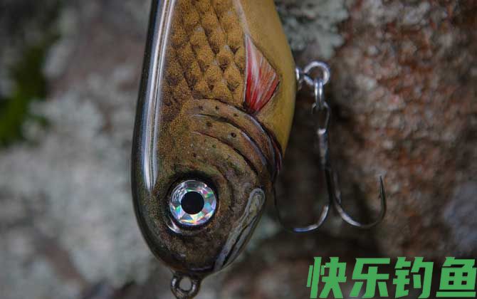 传统钓、台钓和路亚哪个更容易？(图3)