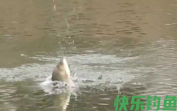 钓鱼空军什么意思？(图1)