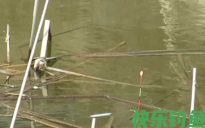 钓半水是什么意思？(图2)