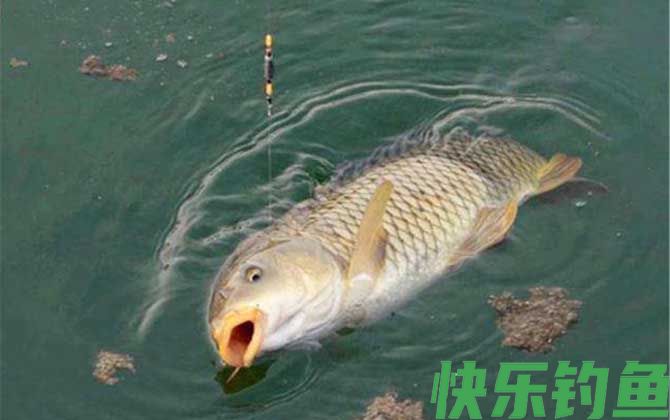 为什么十个钓鱼九个穷？(图3)