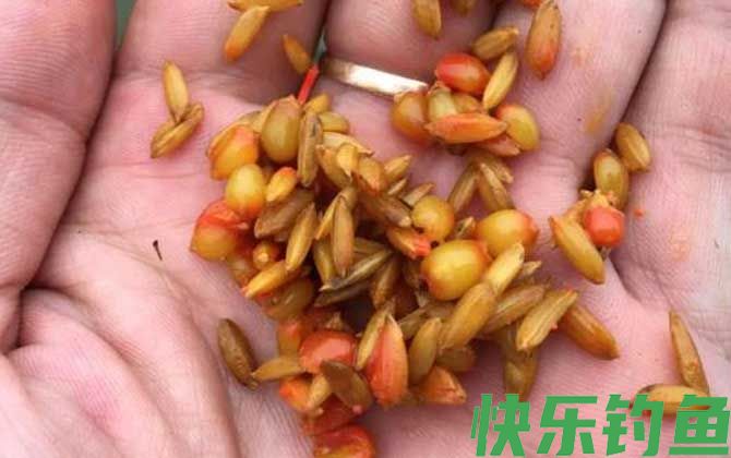 钓鱼术语大全及解释(图2) 钓鱼术语大全及解释(图2)