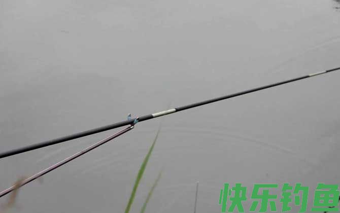 钓鱼术语大全及解释(图5) 钓鱼术语大全及解释(图5)