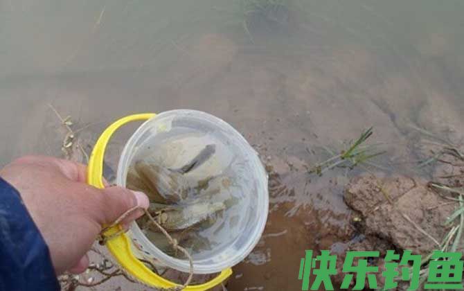 传统钓单钩还是双钩好？(图3)