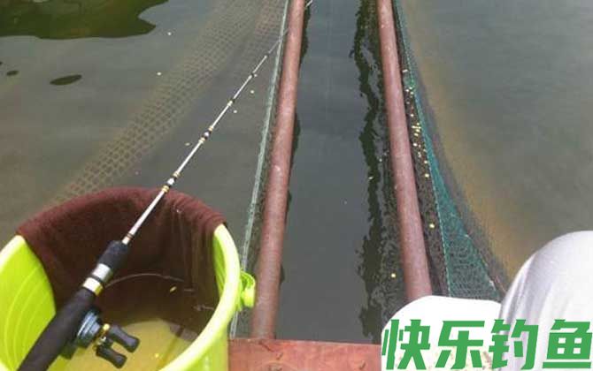 筏钓什么时候好钓？(图3)