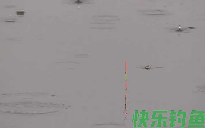 调四钓二是什么意思？(图2)